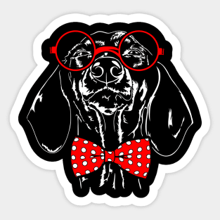 Cute Miniature Dachshund Wiener Weiner Doxie Sticker